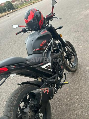 Cimmati Monster Evo 4 2024 Mois 12 - 2