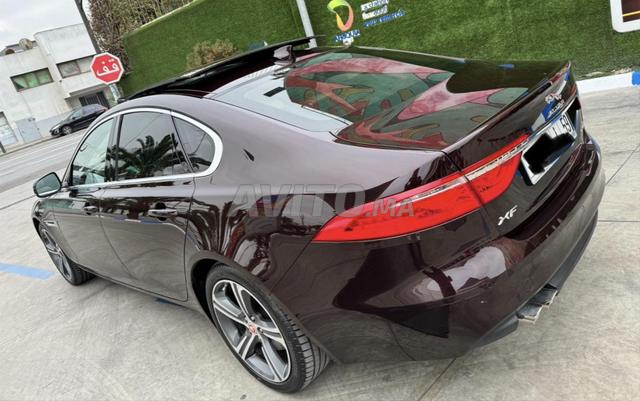Jaguar XF 2019 - 2