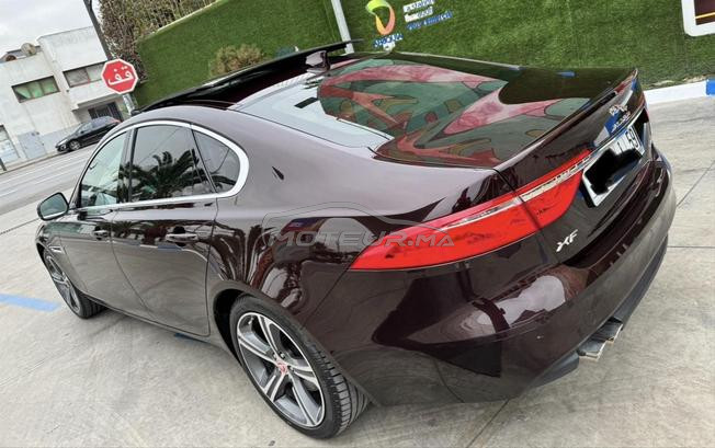 jaguar xf 2019
