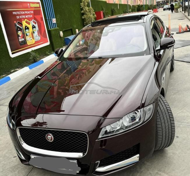 jaguar xf 2019