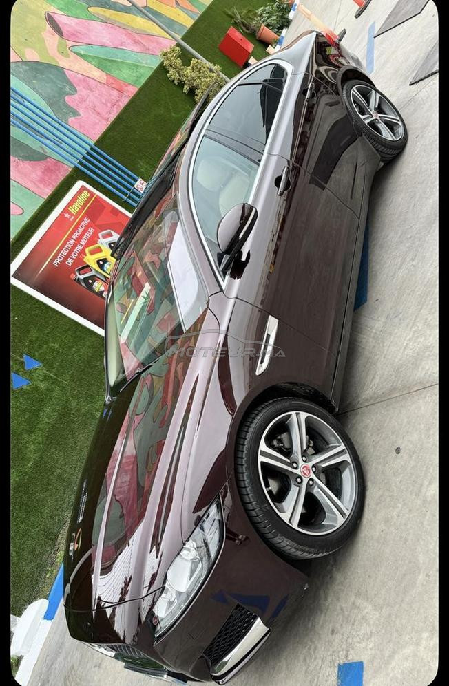 jaguar xf 2019