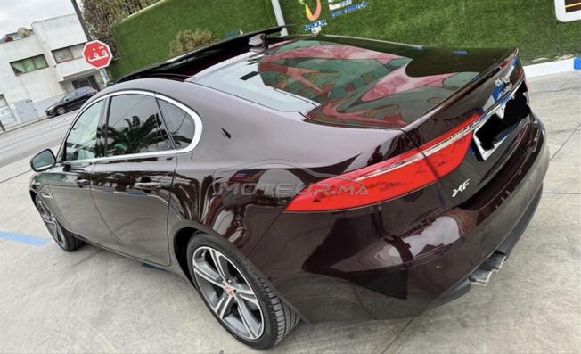 jaguar xf 2019