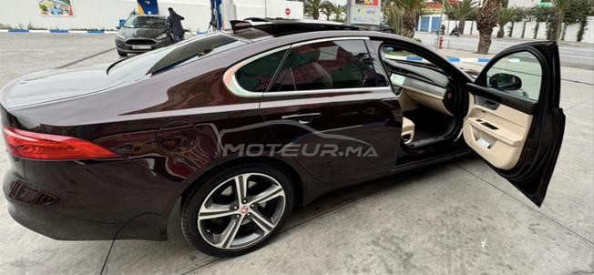 jaguar xf 2019