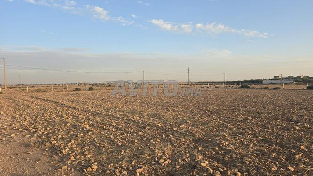 Terrain agricole