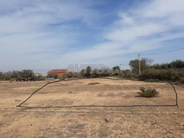 Terrain à vendre 501 m² à Ouled Dahhou