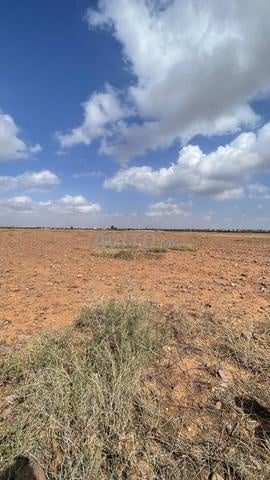 Opportunité d'investissement rare à vendre – Terrain de 7 hectares - 2