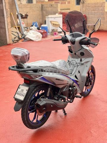 Adiva Smart - 2