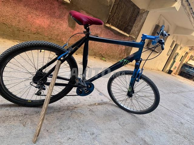 Vélo (VTT) en excellent état
