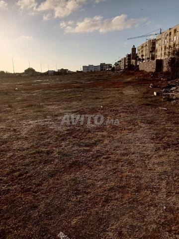 Terrain, rue Tariq Ibn Ziyad - 2