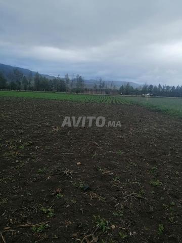 Aït Amar et Ali à 8 km d'Azrou