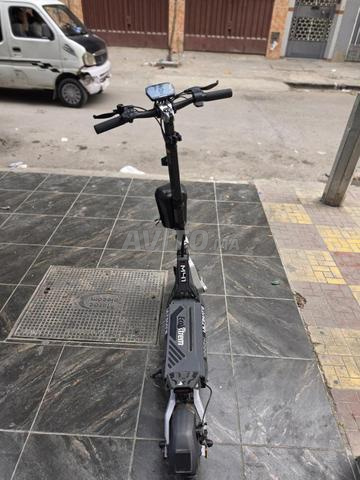 Tanger Majd - 2