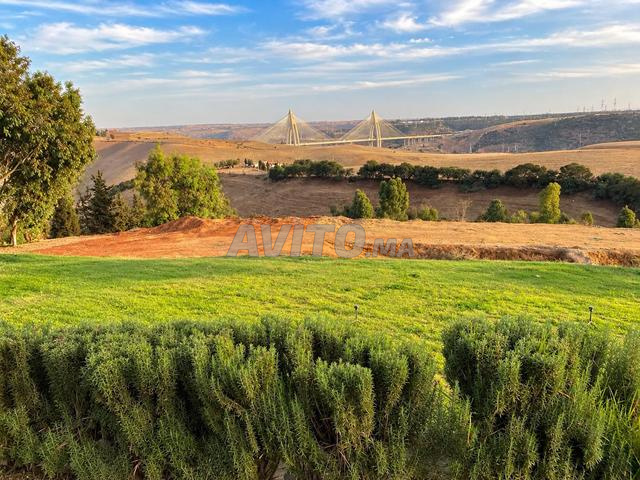Ferme à vendre - Sala Al Jadida - 2
