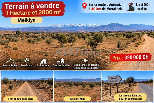 Terrain agricole à vendre à Amizmiz