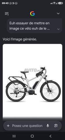 Vélo électrique Riese & Müller Delite II