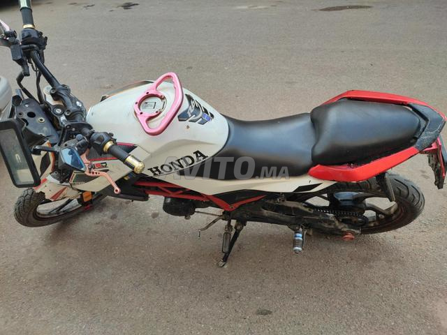 Moto Cimatti - 2