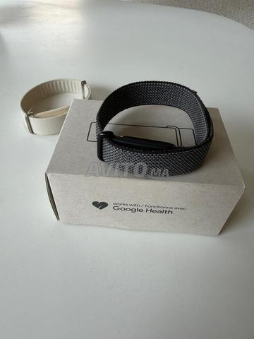 Google Fitbit Air