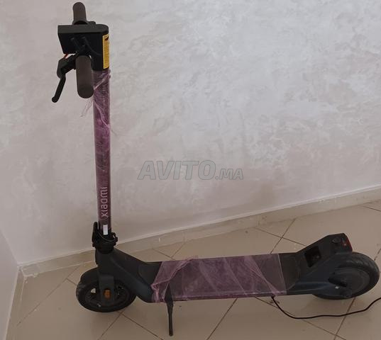 فاس نرجسc المركب الرياضي