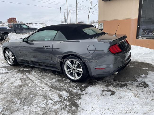 Mustang 2.3L ecobost