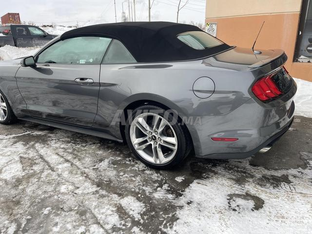 Mustang 2.3L ecobost - 2