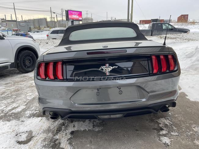 Mustang 2.3L ecobost