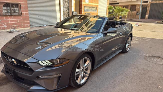 Mustang 2.3L ecobost