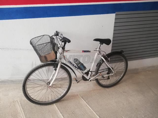 Vélo normal - 2
