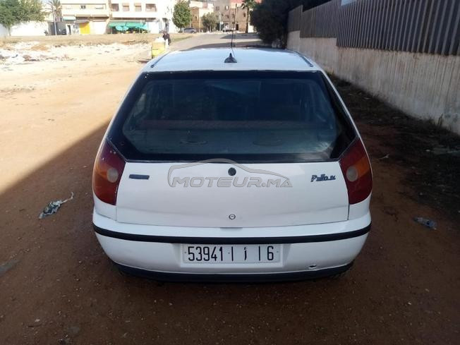 Fiat Palio essence elx