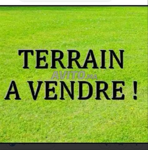 Terrain à vendre - 2