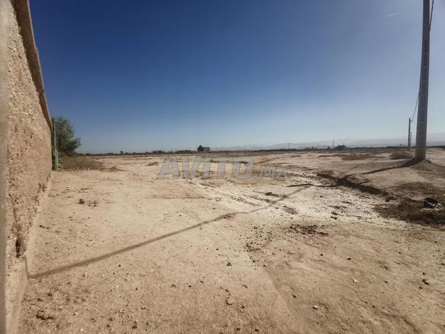 Vente Terrain agricole à Marrakech
