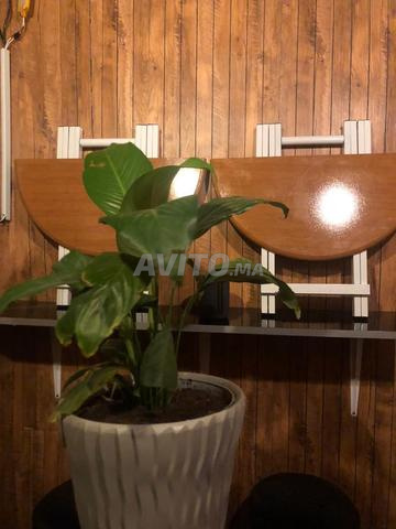 Table pliable, livraison gratuite à Tanger