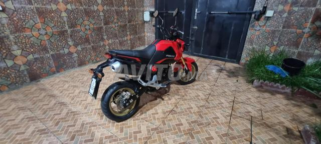 Honda MSX 125 - 2