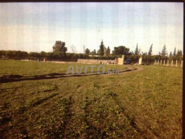 1 hectare à vendre - 2