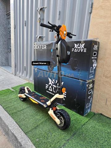 TROTTINETTE ECOXTREM DEXTER G2 - 2