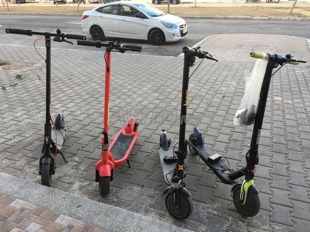 Trottinettes électriques