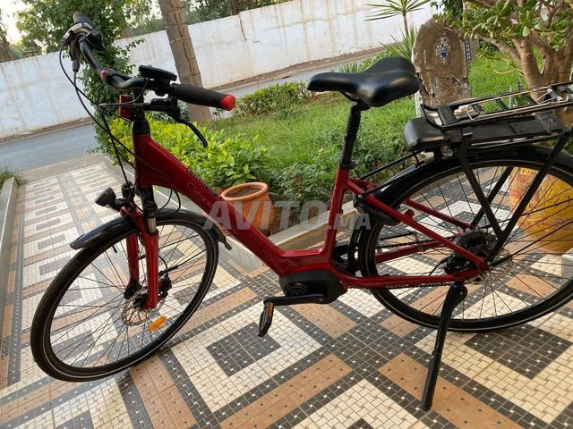 GITANE ORGAN E-CENTRAL XS 2019 - 2