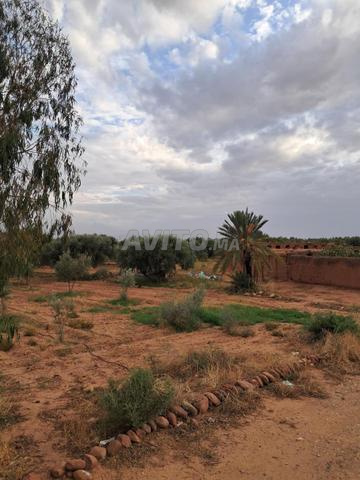 🌿🏡 PROPRIÉTÉ AGRICOLE DE 16 HECTARES À VENDRE - 2