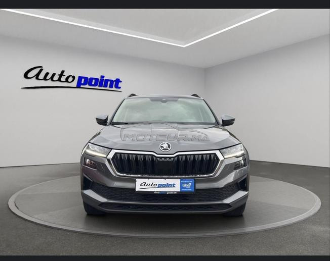 skoda karoq 2.0 tdi 
