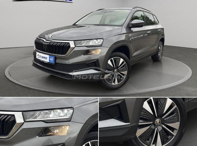 skoda karoq 2.0 tdi 