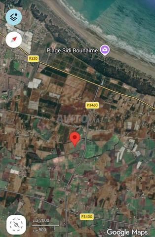 Terrain à vendre 14 hectares - 2