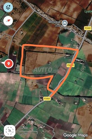 15 hectares à vendre