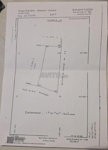 Terrain Lotissement / Promoteur 16.594 m² Oujda