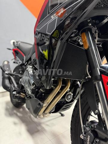 Morini X Cape 700 - 2