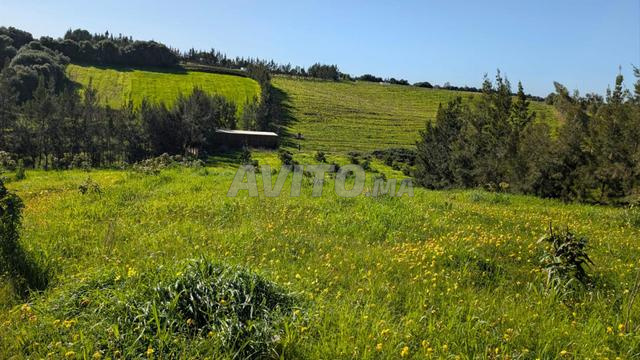 Ferme exceptionnelle productive à vendre - 2