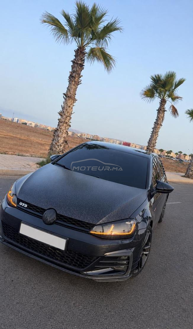 Golf 7 pack 7.5 Gtd