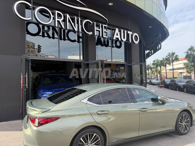 Lexus ES 300 Business Executive - 2