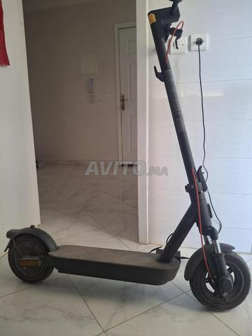 Trottinette Scooter 5 standard - 2
