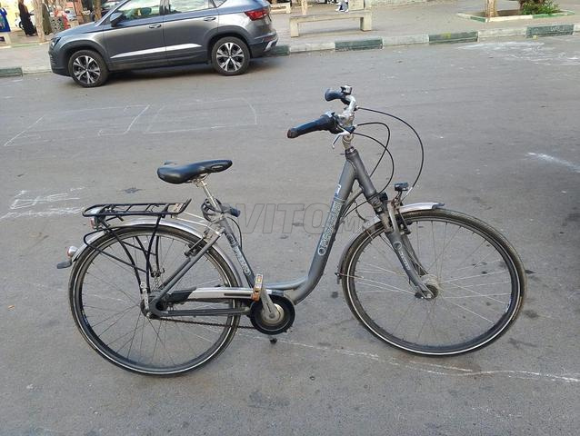 🚲 À vendre – Vélo professionnel PEGASUS - 2