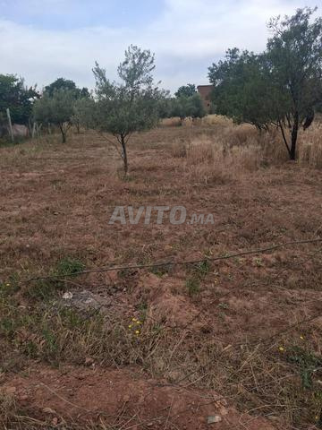Terrain à vendre de 800 m² - 2
