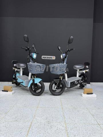 Moto Électrique Falcon E1 lithium 48V15Ah Emove - 2
