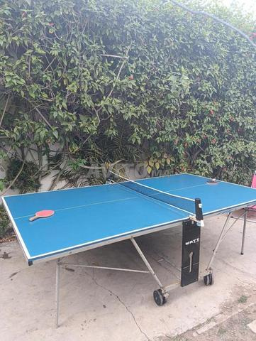 Table de ping pong indoor - 2